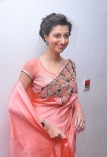 Hamsha Nandini (aka) Hamsha Nandini