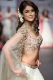 Ileana (aka) Ileana D'Cruz