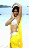 Ileana (aka) Ileana D'Cruz