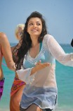 Kajal Aggarwal (aka) Kajal Agarwal