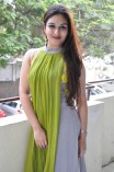 Prayaga Martin (aka) Prayaga