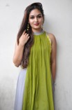 Prayaga Martin (aka) Prayaga