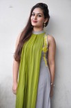 Prayaga Martin (aka) Prayaga