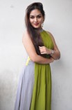Prayaga Martin (aka) Prayaga