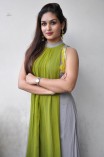 Prayaga Martin (aka) Prayaga