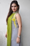 Prayaga Martin (aka) Prayaga