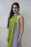 Prayaga Martin (aka) Prayaga