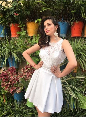 Raai Laxmi (aka) Lakshmi Rai