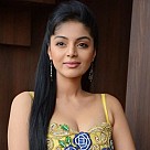 Sanam Shetty