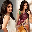 Shamlee