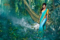 Shaun Romy (aka) Shaun Romy