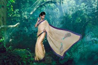 Shaun Romy (aka) Shaun Romy