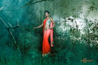 Shaun Romy (aka) Shaun Romy