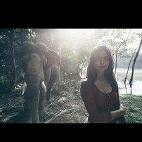 Shaun Romy (aka) Shaun Romy