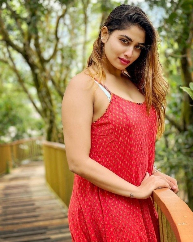 Shivani Narayanan (aka) Shivani