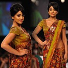 Shriya Saran