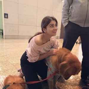 Shriya Saran (aka) Actress Shriya