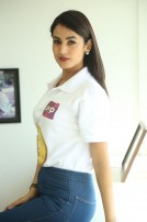 Sonal Chauhan (aka) 