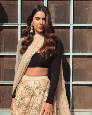 Sonam Bajwa (aka) Sonampreet Bajwa