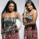 Vimala Raman
