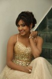 Vithika Sheru (aka) Vithika