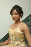 Vithika Sheru (aka) Vithika