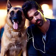 Naaigal Jaakirathai is not just a film !