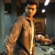 Kaththi Telugu version to finally release ? ...