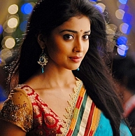 Shriya Saran bags a meaty part in a much-expected remake ...