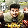 How long is Puli?