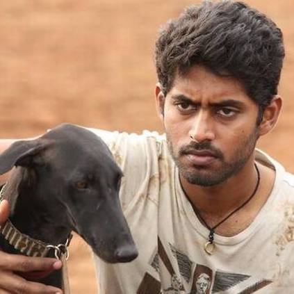 Actor Vijay congratulates team Pariyerum Perumal