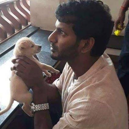 Actor Vishal turns filmmaker with a film based on ‘Stray Dogs’