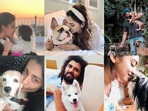 Cute fluffy friends of Top stars who made their life more beautiful - a wonderful photostory!!