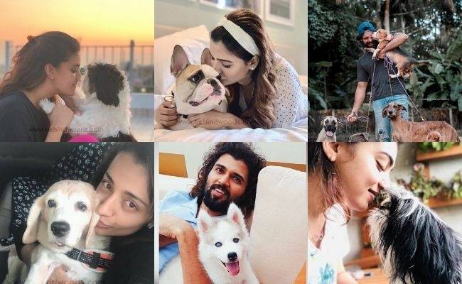 Actors and actresses with pets special photos ft Rashmika, Vijay Deverakonda, Keerthy Suresh