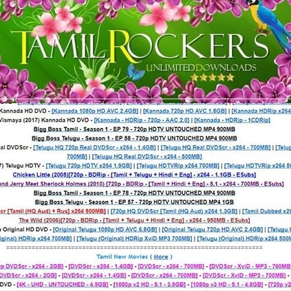 Admin of popular pirated movie website Tamilrockers arrested