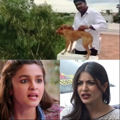 Alia Bhatt and Anushka Sharma voice out against the medical students who threw a dog from the terrace