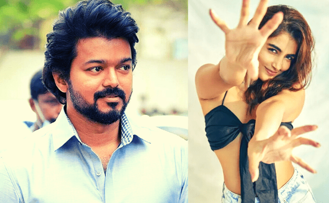 BEAST heroine Pooja Hegde's reply to a fan about Thalapathy Vijay is grabbing attention