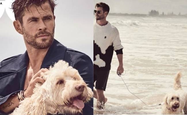 Chris Hemsworth of Extraction fame congratulates his dog