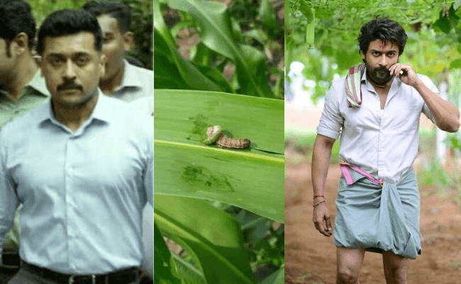 Director Era Saravanan comes across a similar incident shown in Kaapaan