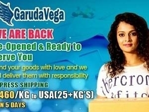 GarudaVega Resumes Shipments Across the World!