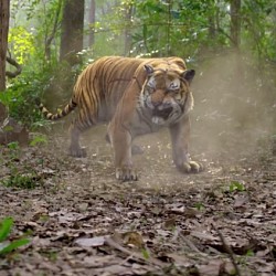 Here is a breathtaking scene from Jayam Ravi's Vanamagan