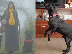 Penguin Director reveals unknown secret about Cyrus - You wouldn't believe what he just said!