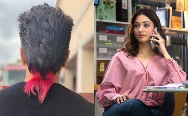 LATEST: Tamannaah to pair opposite this popular hero in her next - Exciting Deets