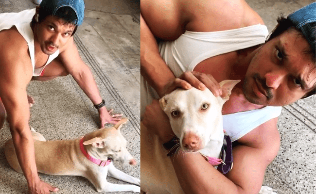 Nakul works out with his dog at home in COVID19 quarantine