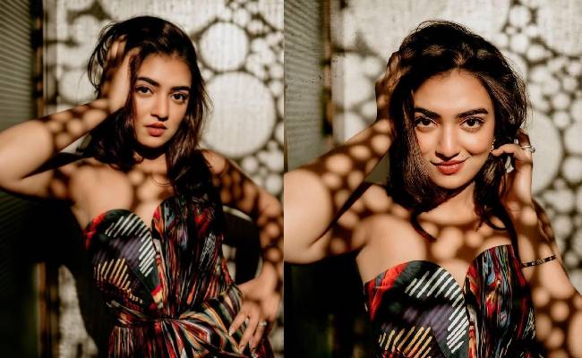 Nazriya Nasim Latest Photoshoot images went viral