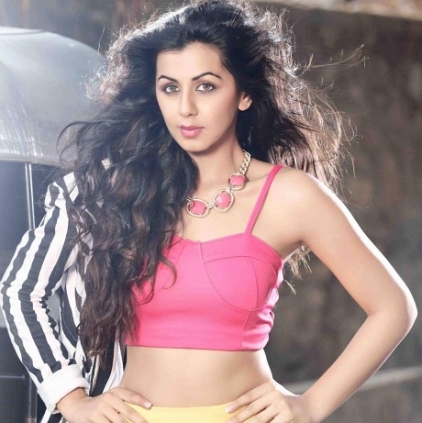 Nikki Galrani is in talks for Vikram Prabhu's film