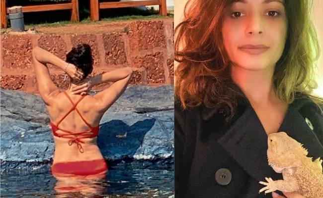 Pooja Batra reveals her pet dragon on social media
