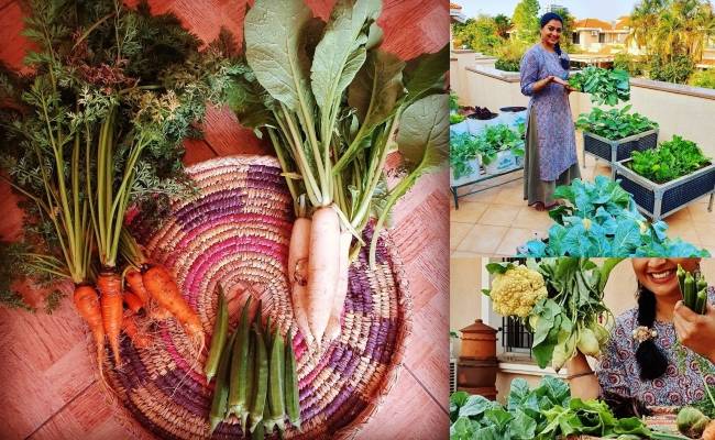 Popular actress and Azhagu fame Gayatri Jayaraman stuns fans with latest pics