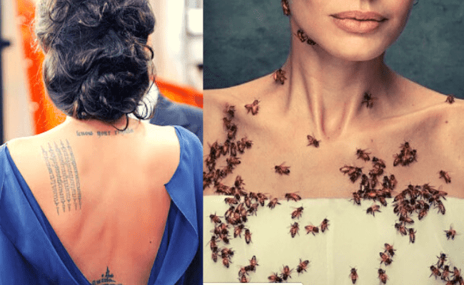 Popular actress gets covered in bees for 18 minutes; here's why ft Angelina Jolie