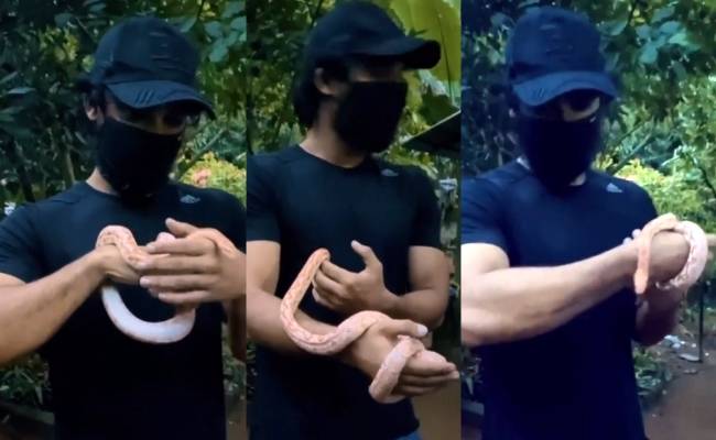Popular hero makes a new friend with a snake, video goes viral ft Tovino Thomas